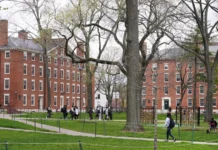 La generación Z en EEUU tiene graves problemas económicos y desconfía de los políticos, muestra sondeo