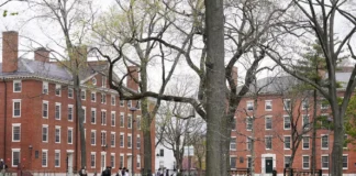 La generación Z en EEUU tiene graves problemas económicos y desconfía de los políticos, muestra sondeo