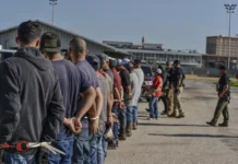 El ICE detuvo a 75.000 inmigrantes sin antecedentes criminales en EEUU en 2025