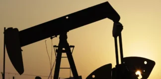 La OPEP eleva previsión de aumento de la producción de petróleo fuera de la OPEP+ en 2025