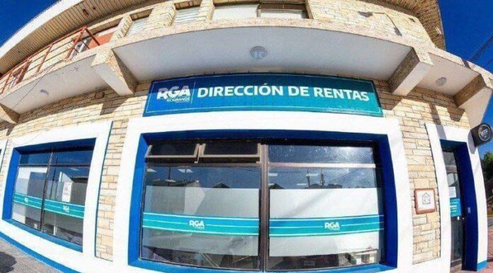 Está vigente la bonificación en impuestos por plantar árboles en las veredas