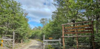 La DPV informa restricción de circulación camino a la Reserva Laguna Negra