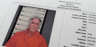 La sombra en el buscador: ¿quién ayudó a Epstein a “limpiar” internet?