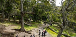 Recomendaciones para disfrutar de actividades al aire libre