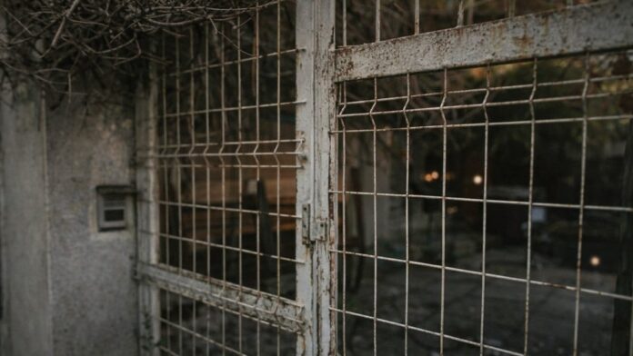 IMG_20260215_152622_747