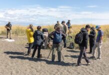 El Municipio acompañó una capacitación científica clave para la conversación de aves migratorias