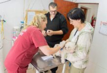 El Municipio realizará una jornada de vacunación antirrábica y adopción responsable