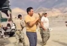 Un perro es el único sobreviviente de un trágico accidente aéreo en Perú