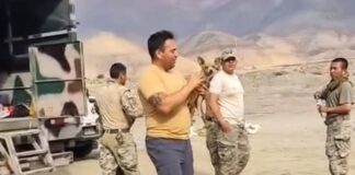 Un perro es el único sobreviviente de un trágico accidente aéreo en Perú