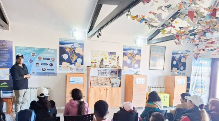 Sumate a las actividades del Centro de Interpretación Ambiental