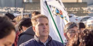 Von Der Thusen trabaja en la expropiación de Aires del Sur