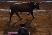 La tauromaquia aún es un negocio millonario en México pese a prohibición en la capital