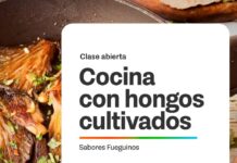 Cocina con Hongos: Una invitación a descubrir el Mundo Fungi
