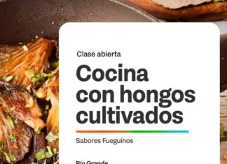 Cocina con Hongos: Una invitación a descubrir el Mundo Fungi