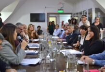 La Secretaría de Industria expuso ante legisladores sobre la situación del sector y el régimen de aduana en factoría