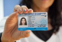 Licencias de conducir: Accedé a las capacitaciones presenciales