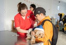 Hoy se realizará una nueva jornada de cuidado para las mascotas