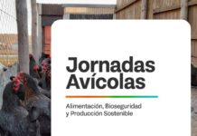 La Provincia impulsa jornadas avícolas para fortalecer la producción local