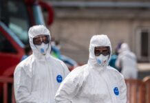 La OMS registra 9 casos de hantavirus vinculados con el crucero MV Hondius