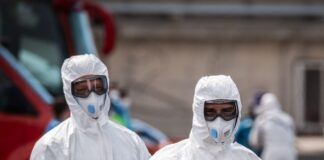 La OMS registra 9 casos de hantavirus vinculados con el crucero MV Hondius