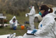 La Provincia y el Malbrán concluyeron el operativo de vigilancia por Hantavirus en Ushuaia
