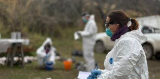 La Provincia y el Malbrán concluyeron el operativo de vigilancia por Hantavirus en Ushuaia