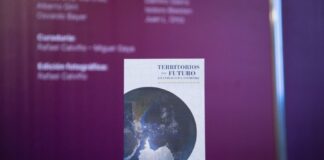 Accedé al libro “Territorios del Futuro, Atlántico Sur y Antártida”