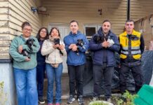 El Municipio entregó alimentos a protectoras de la ciudad