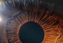 Su retina podría alertar sobre el riesgo de esta peligrosa enfermedad