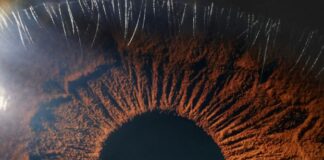Su retina podría alertar sobre el riesgo de esta peligrosa enfermedad