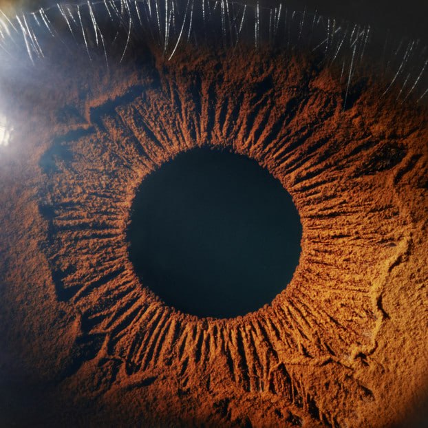 retina