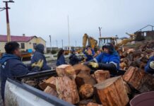 El Municipio comenzó con la primera etapa del programa leña para tu hogar