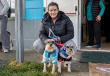 El Municipio realizará una nueva jornada de vacunación y adopción de mascotas