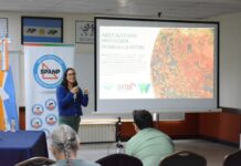 Publican 28 trabajos de investigación sobre Península Mitre