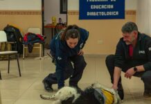 Bomberos se capacitaron en atención veterinaria