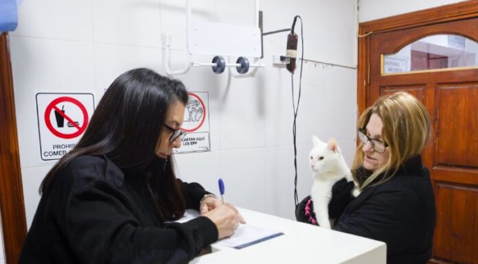 Exitosa jornada de vacunación animal