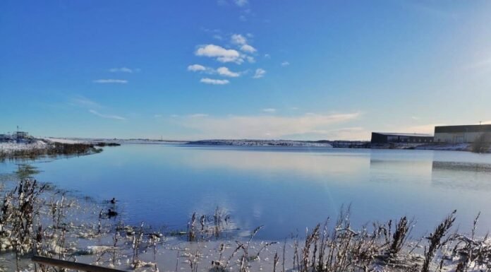 Prohíben ingresar a la Laguna de los Patos