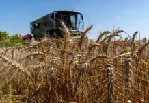 La UE rechaza fondos extra para agricultores ucranianos