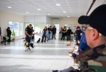 “Patitas Comunitarias” propone una tarde de cuidado y encuentro