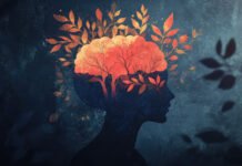 Frutos secos y cerebro