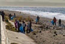 Jornada de plogging en la costa