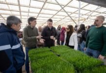 Río Grande recuperó un espacio para la producción