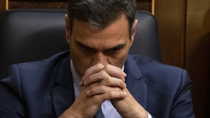 pedro