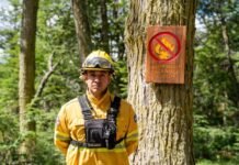 Lanzan una web para consultar el riesgo de incendios