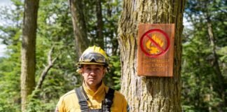 Lanzan una web para consultar el riesgo de incendios