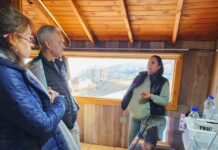 Destacan el potencial del cannabis medicinal fueguino