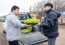 Río Grande abrió la inscripción para entregar plantines