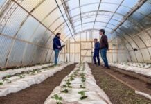 Potencian la Chacra Agroexperimental