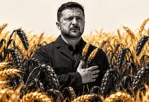 Zelenski advierte sobre una posible crisis alimentaria mundial