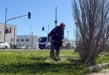 Río Grande renueva sus espacios verdes para el verano
